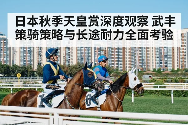 日本秋季天皇赏深度观察 武丰策骑策略与长途耐力全面考验